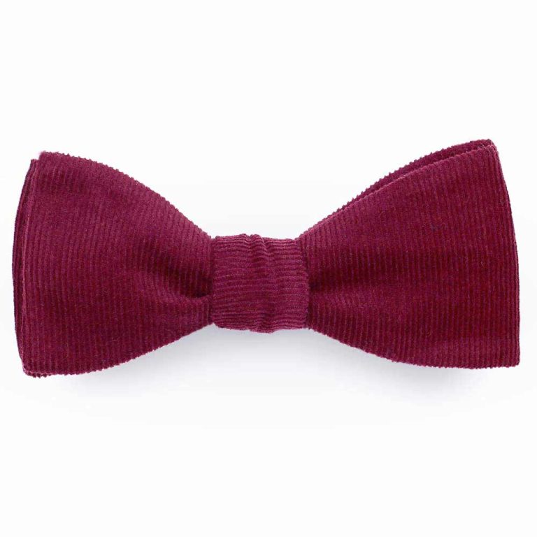 Noeud papillon velours bordeaux homme le coq en pap new